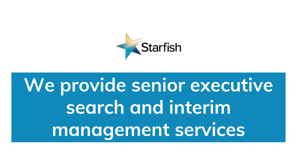 we provide senior executive search and interim