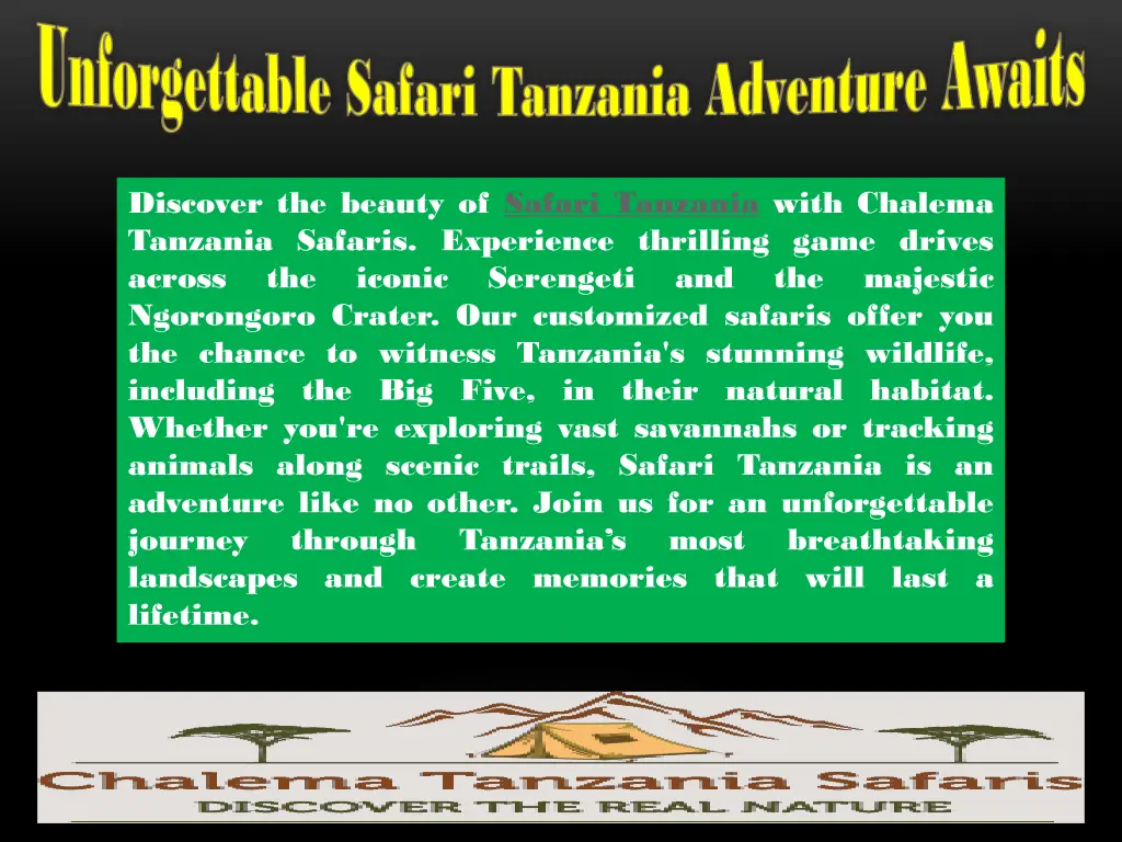 unforgettable safari tanzania adventure awaits 3