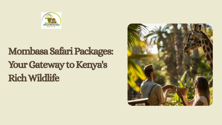 mombasa safari packages your gateway to kenya