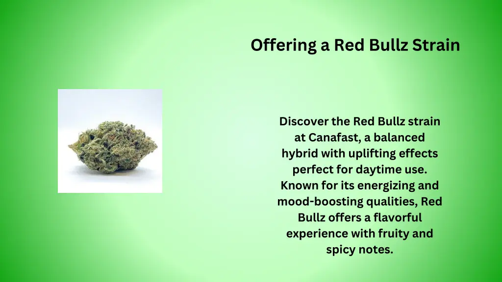 offering a red bullz strain