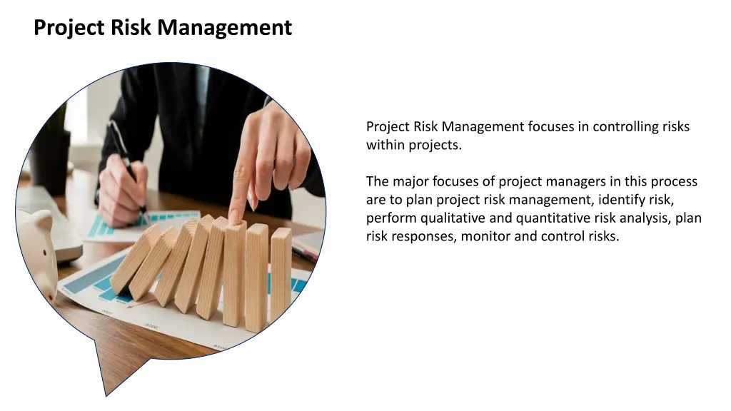 project risk management