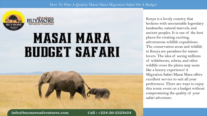 how to plan a quality masai mara migration safari