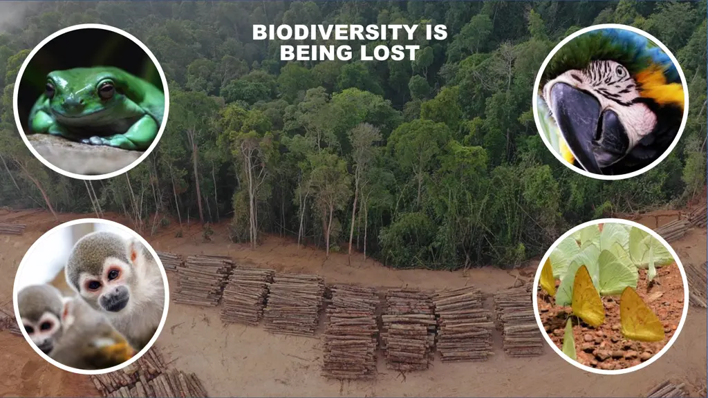biodiversity is biodiversity is being lost being