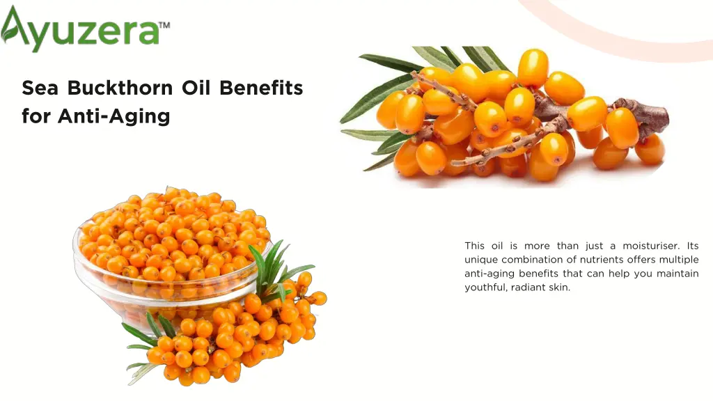 sea buckthorn oil benefits for anti aging