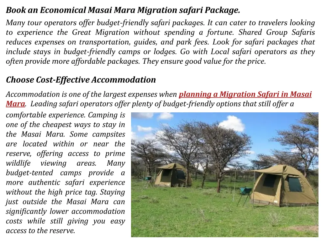 book an economical masai mara migration safari