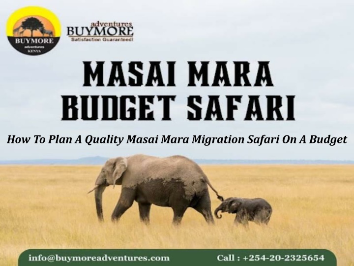 how to plan a quality masai mara migration safari