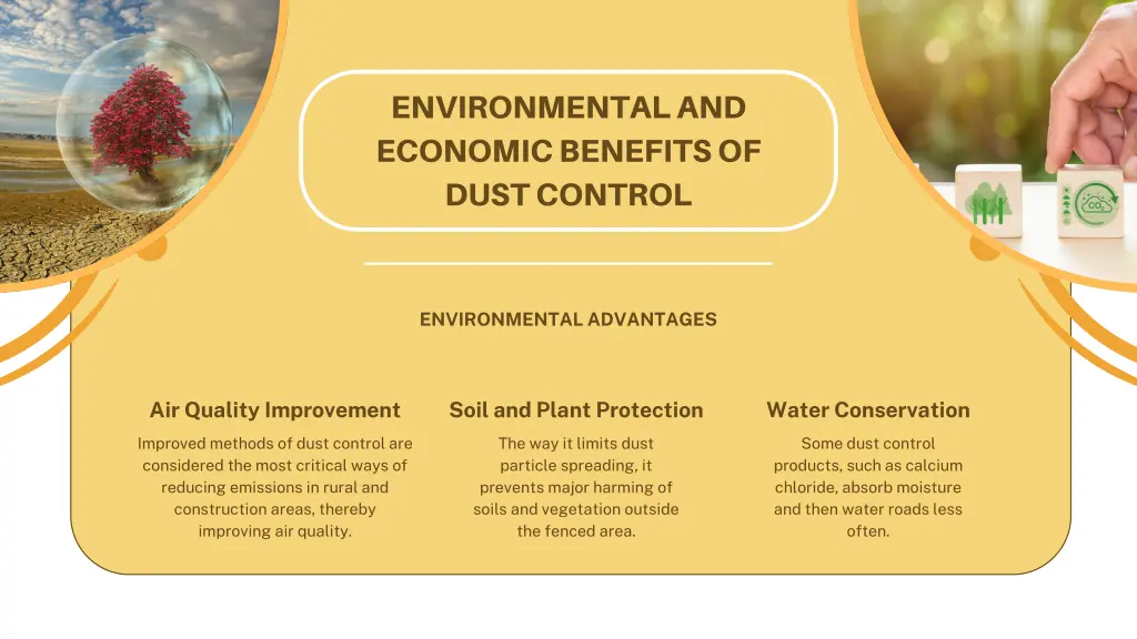 environmental and economic benefits of dust