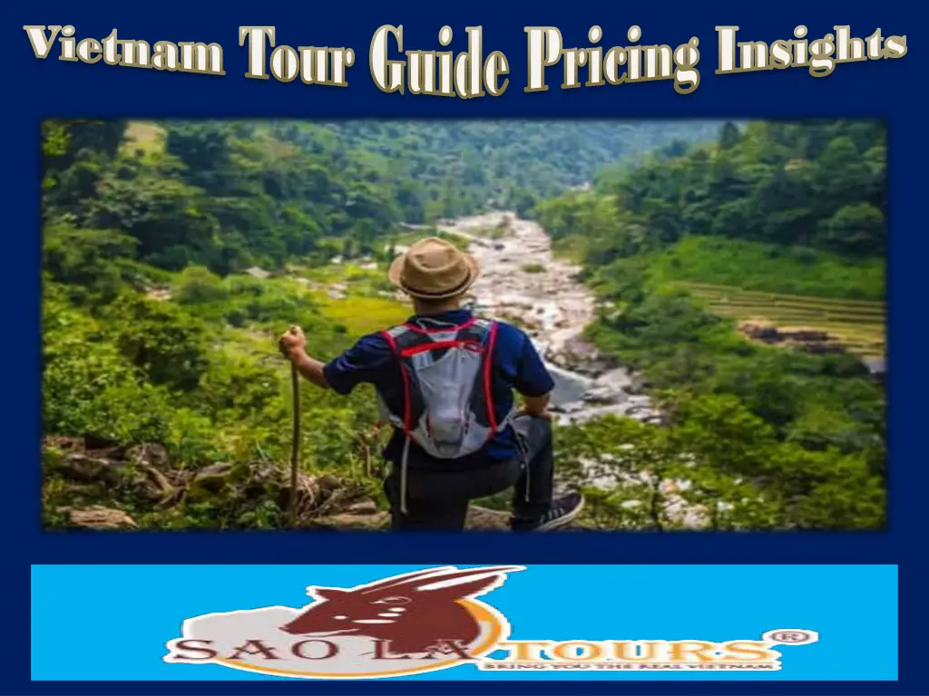 vietnam tour guide pricing insights vietnam tour 2