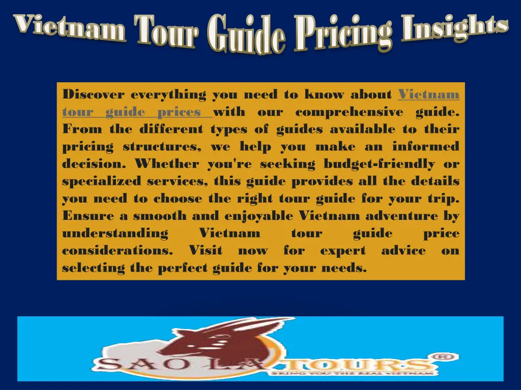 vietnam tour guide pricing insights vietnam tour 3