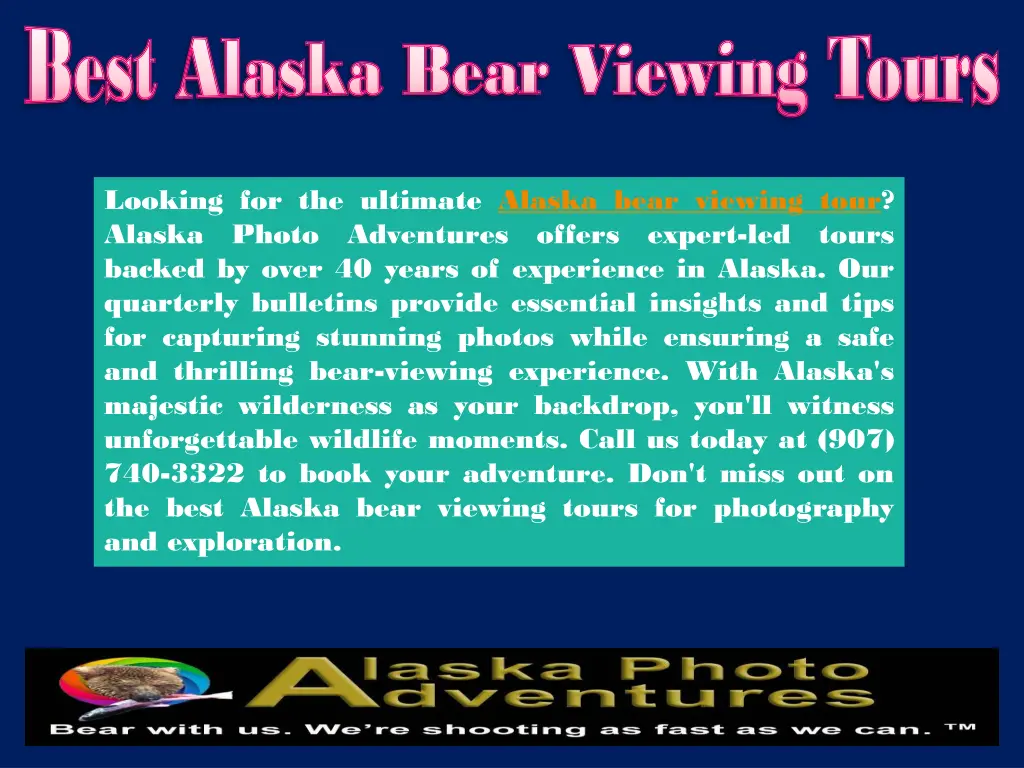 best alaska bear viewing tours best alaska bear 3