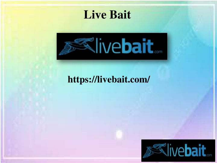 live bait