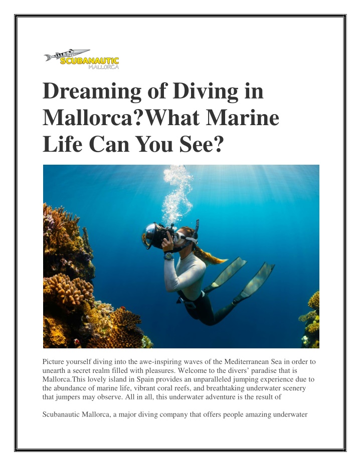 dreaming of diving in mallorca what marine life