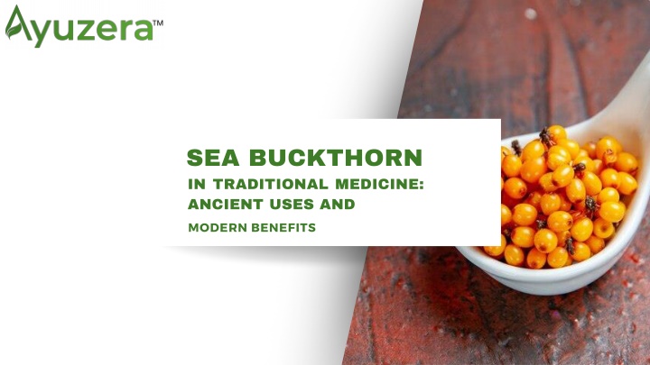 sea buckthorn