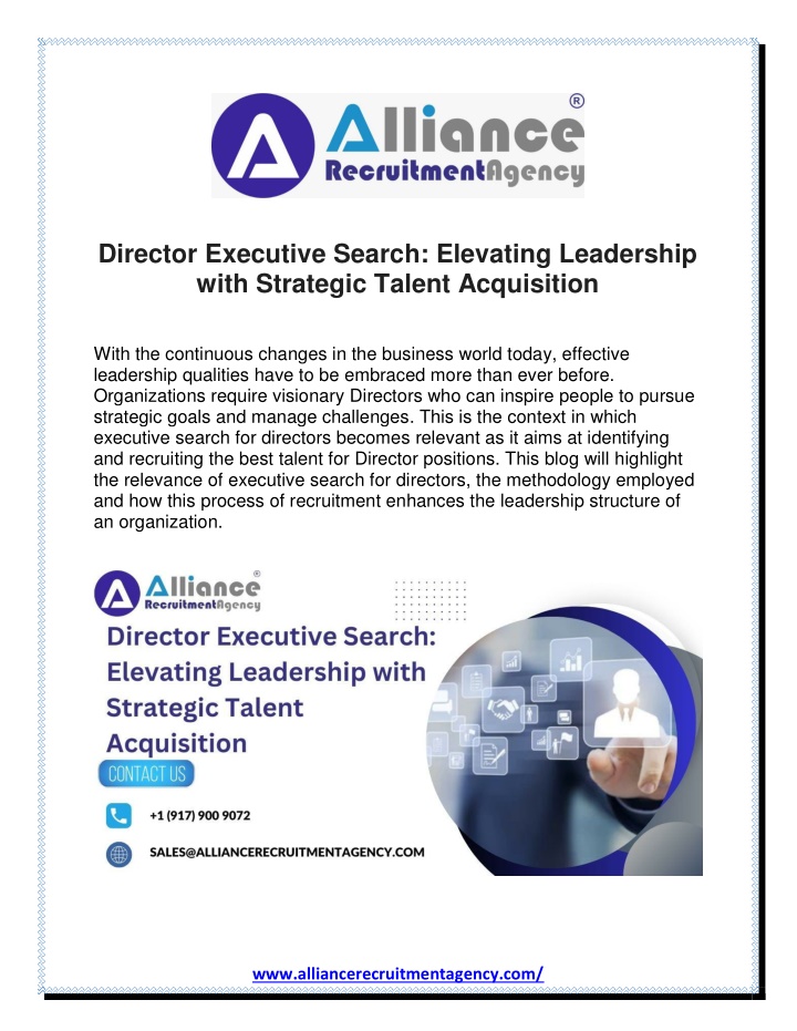 director executive search elevating leadership