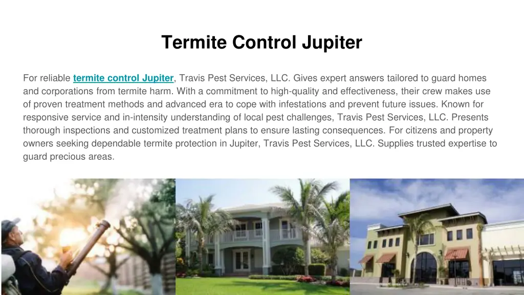 termite control jupiter