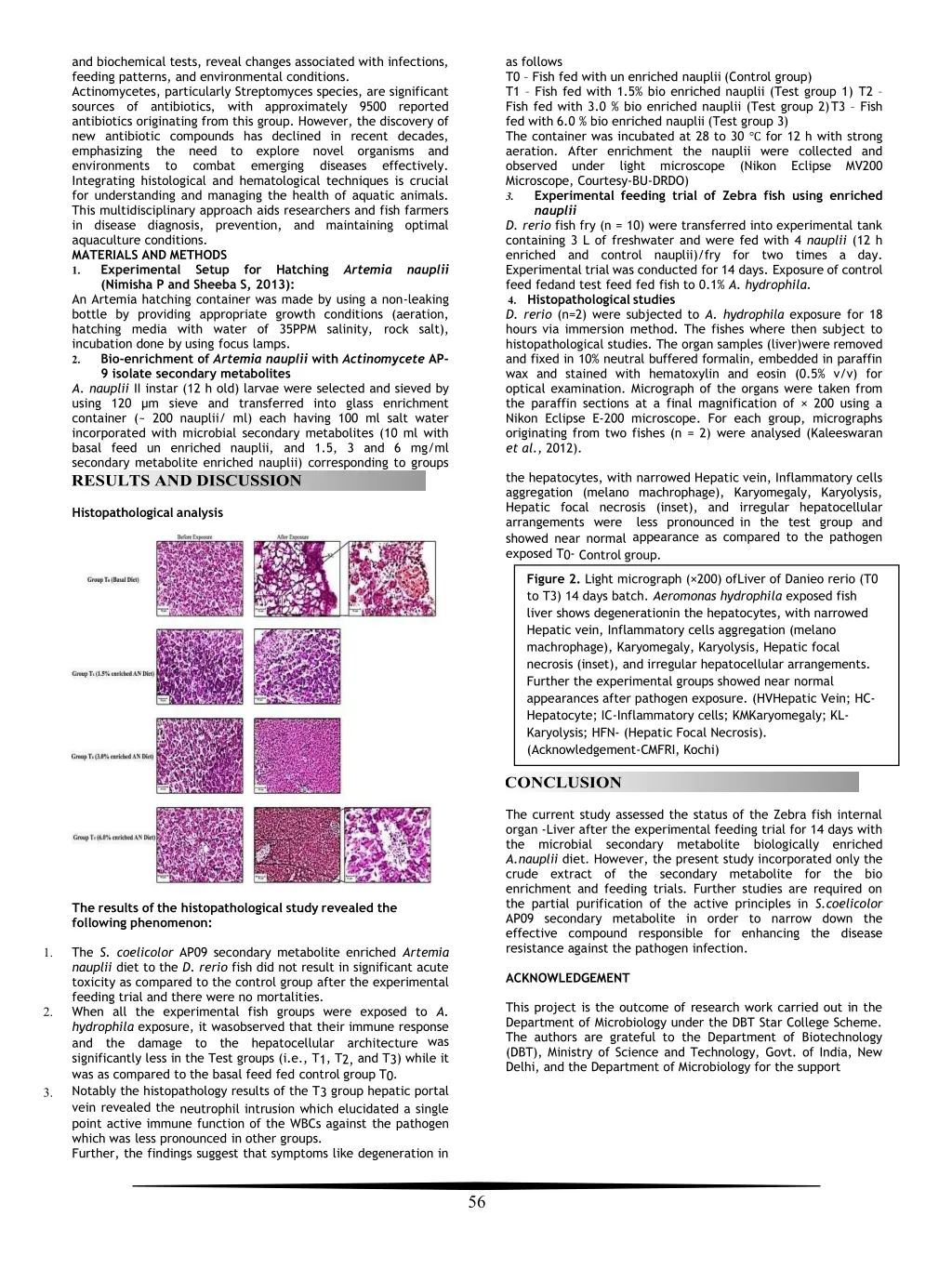 and biochemical tests reveal changes associated