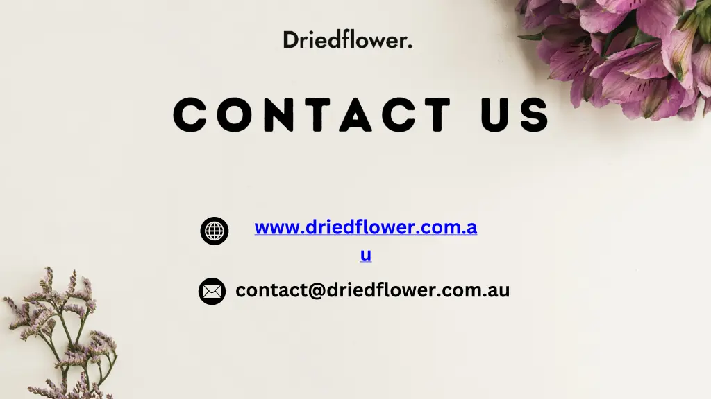 www driedflower com a u contact@driedflower com au