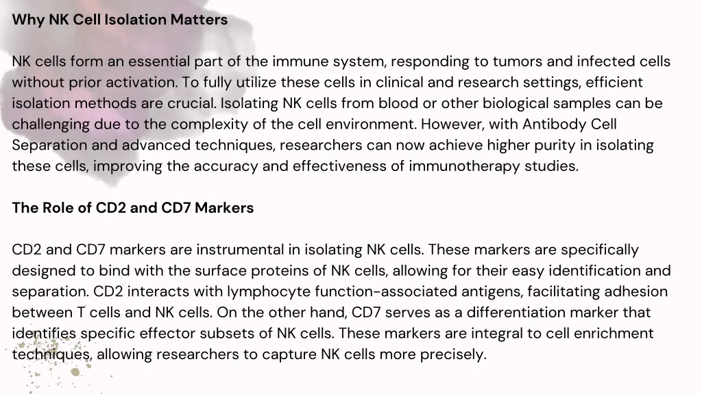 why nk cell isolation matters