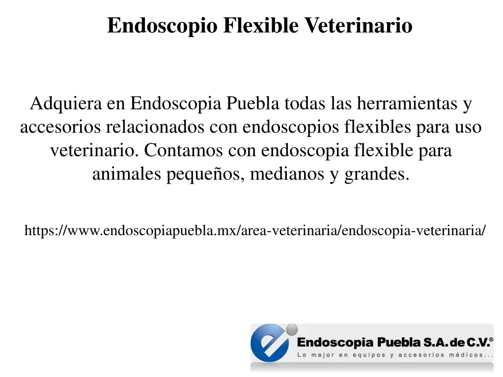 endoscopio flexible veterinario