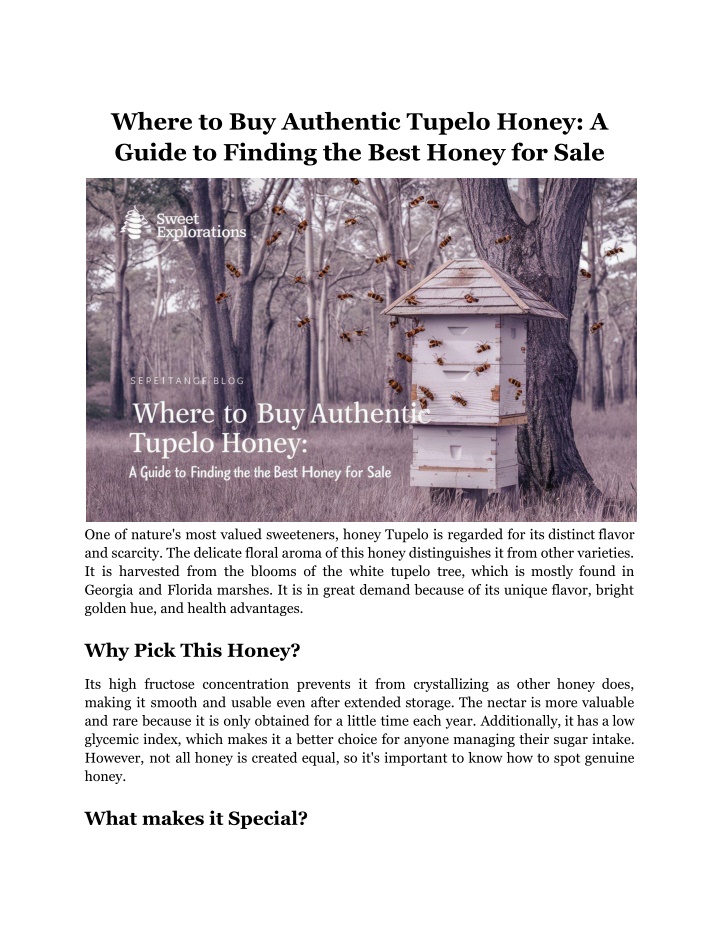 where to buy authentic tupelo honey a guide