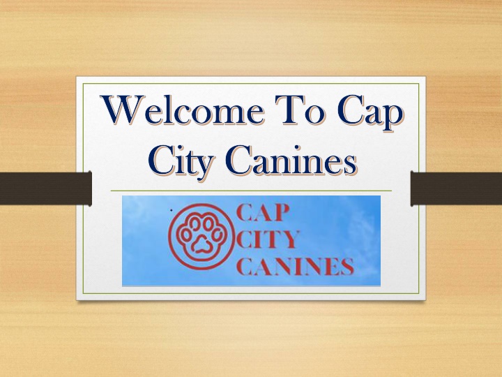 welcome to cap welcome to cap city canines city