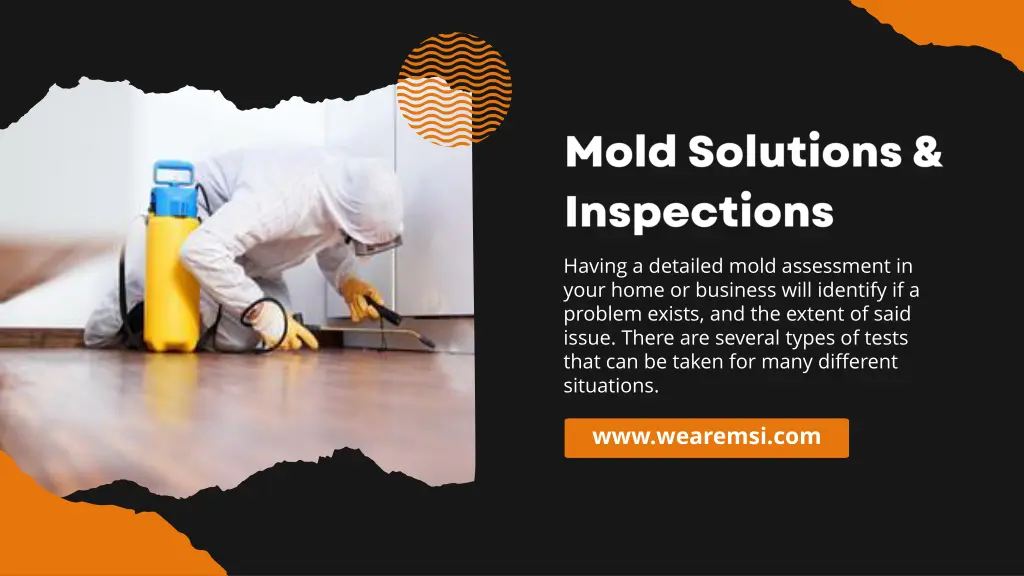 having a detailed mold assessment in your home