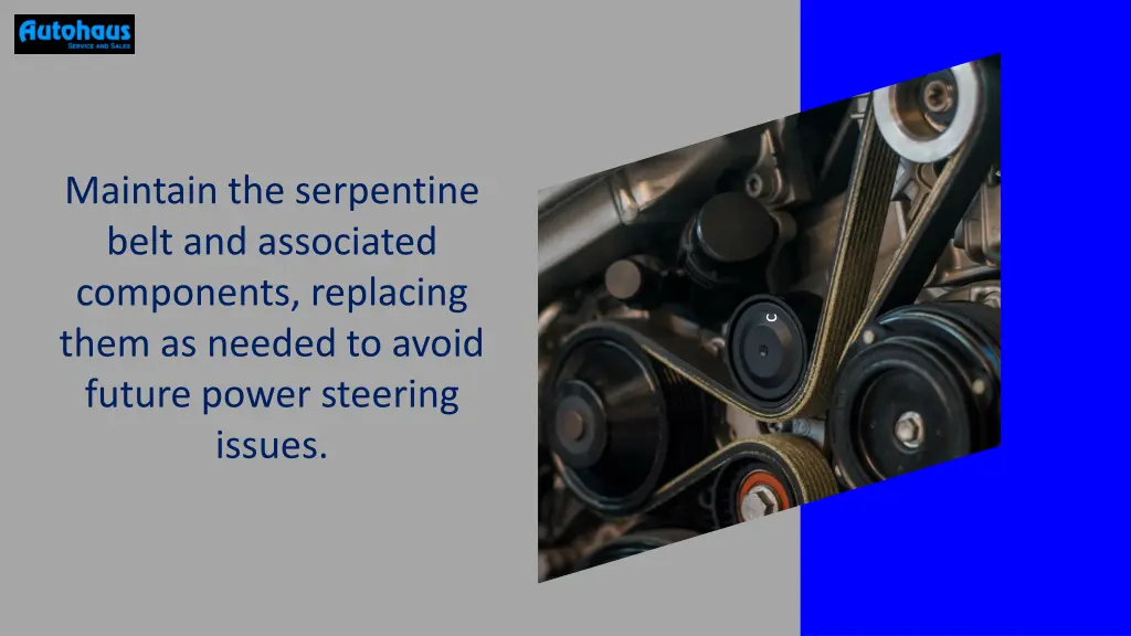 maintain the serpentine belt and associated