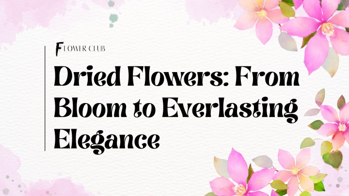 dried flowers from bloom to everlasting elegance