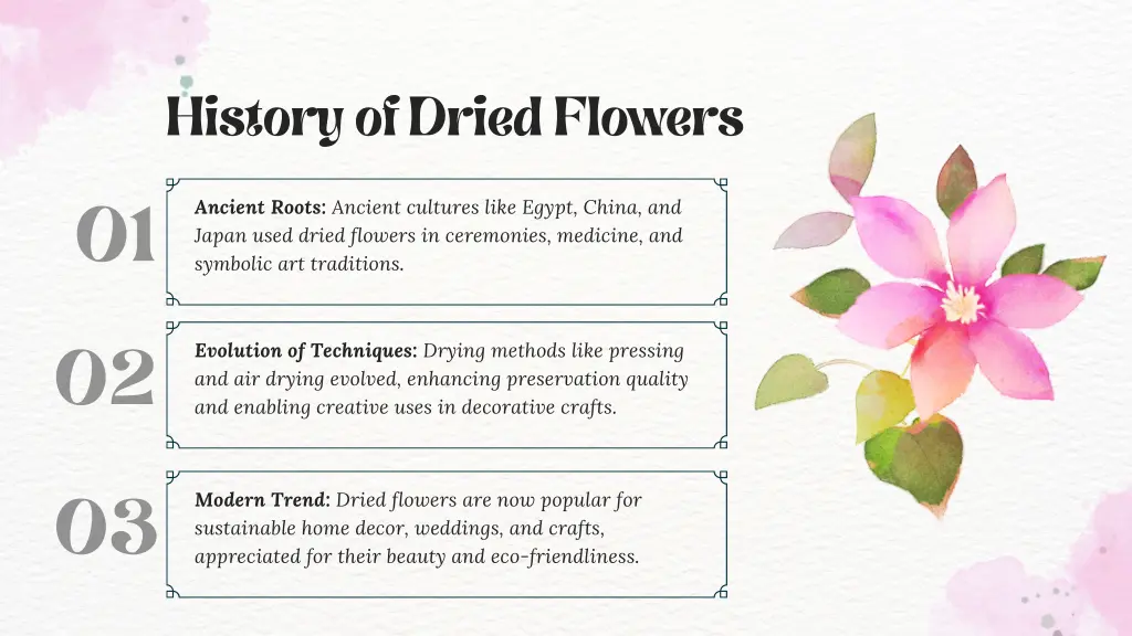 history of dried flowers