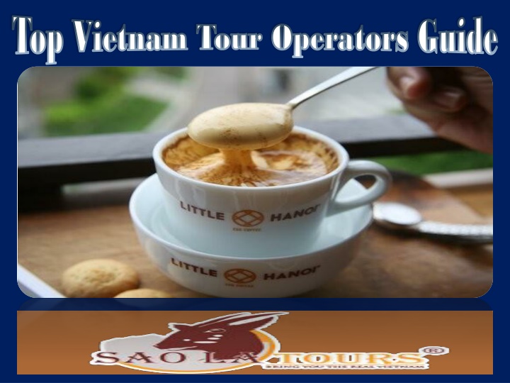 top vietnam tour operators guide top vietnam tour