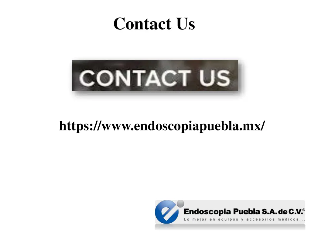 contact us