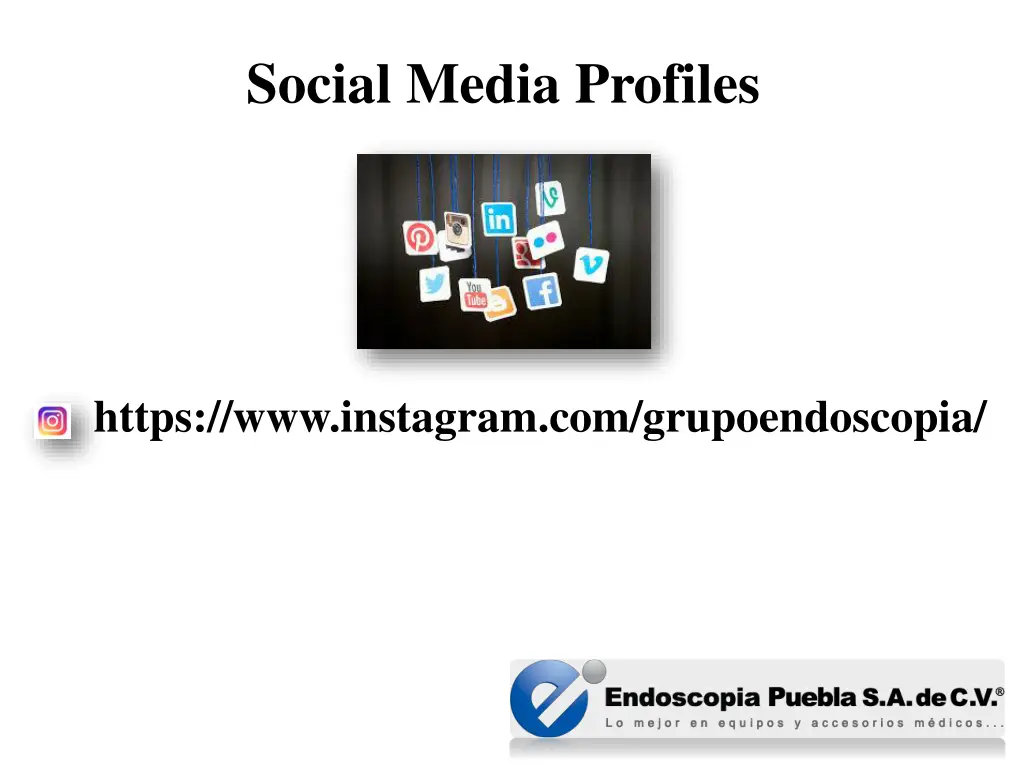 social media profiles 1