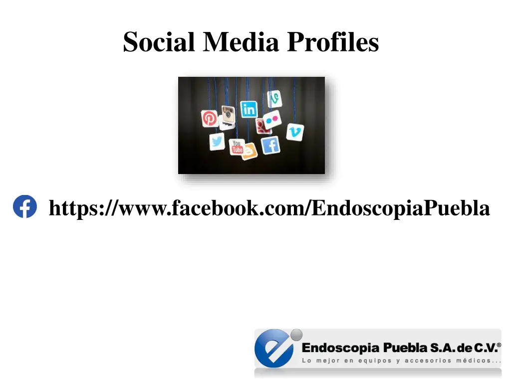 social media profiles