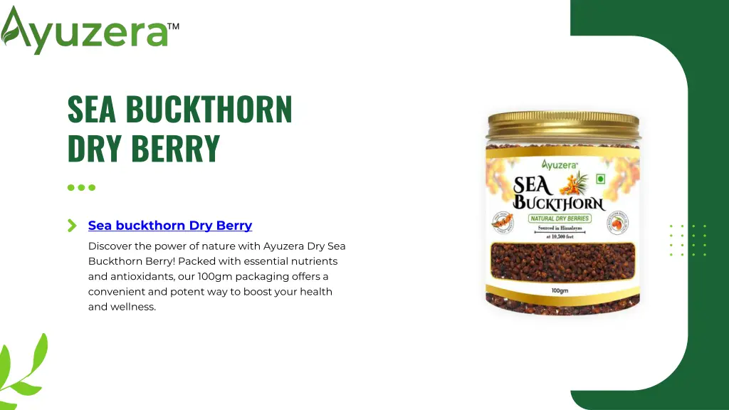 sea buckthorn dry berry