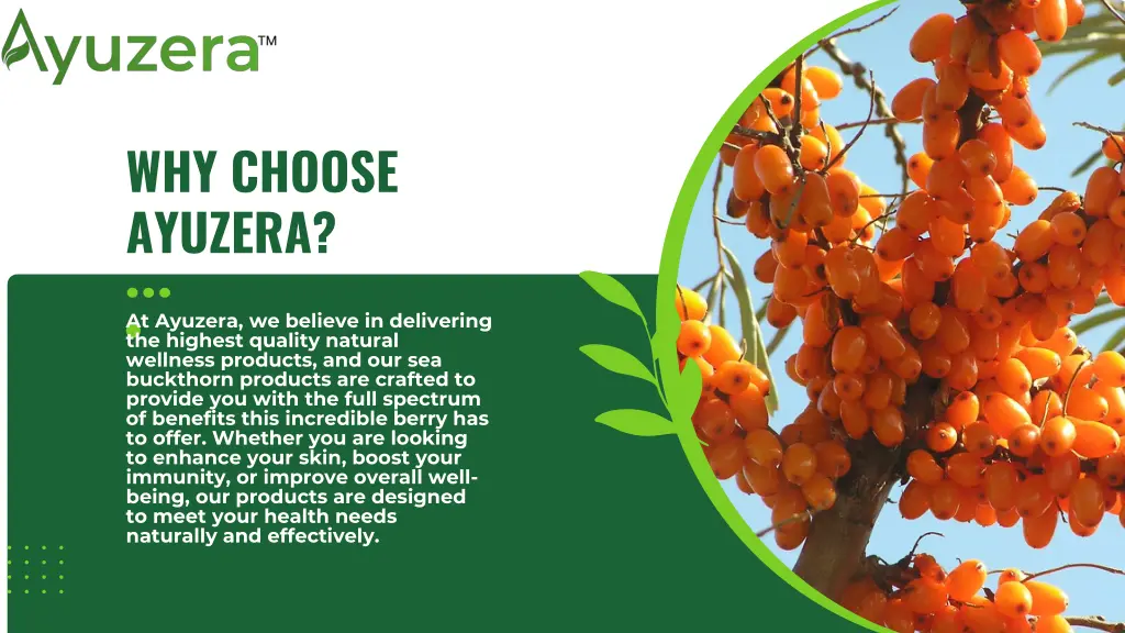 why choose ayuzera