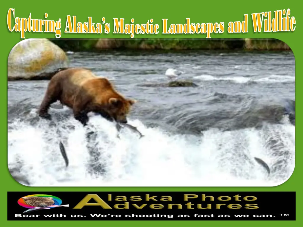 capturing alaska s majestic landscapes 1