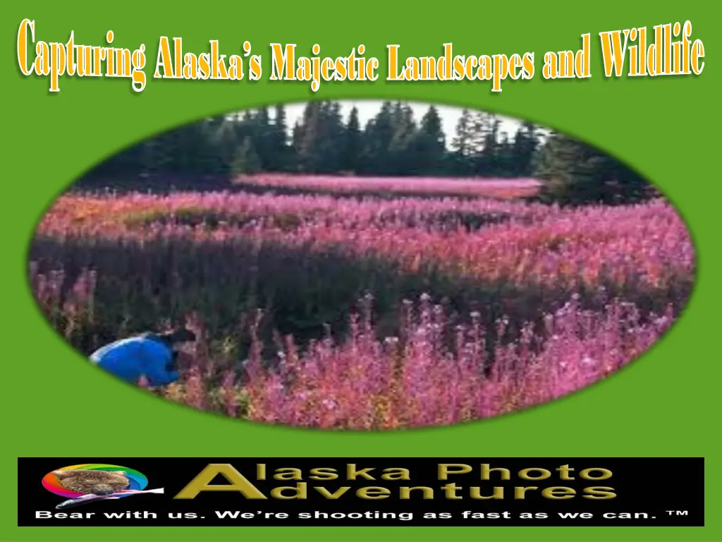 capturing alaska s majestic landscapes 2