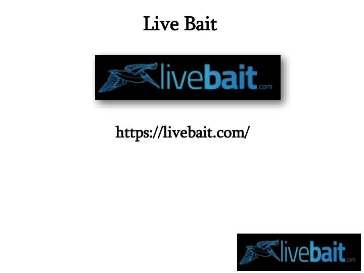 live bait live bait