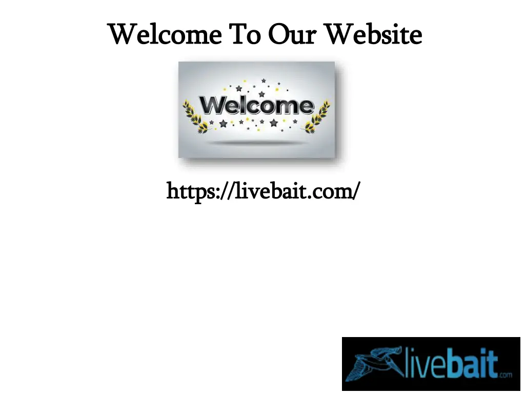 welcome to our website welcome to our website