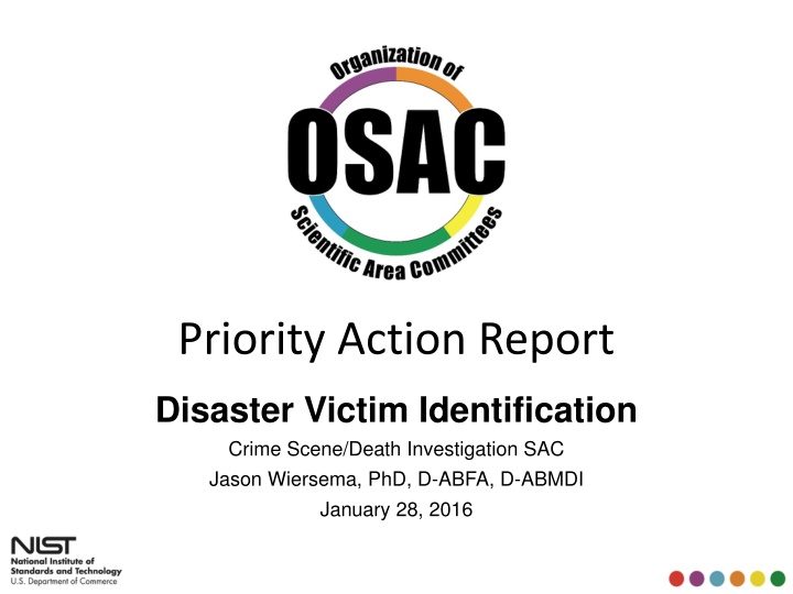 priority action report