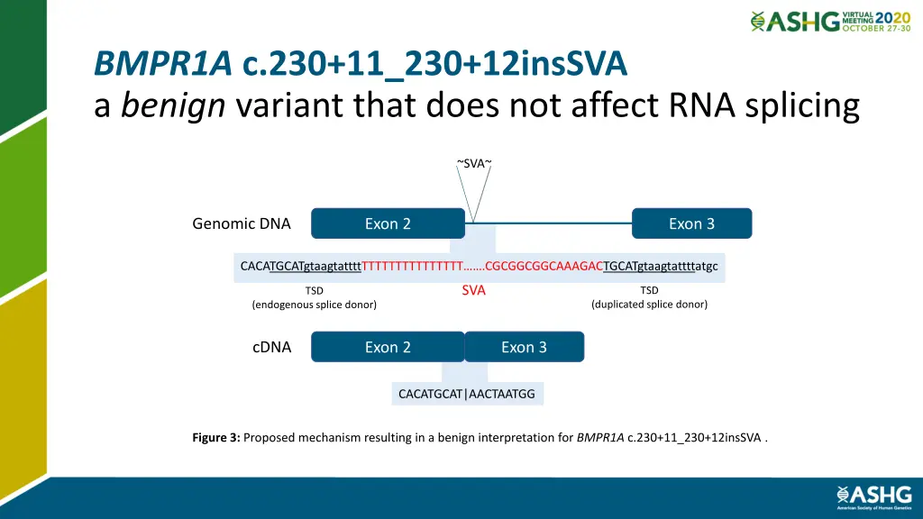 bmpr1a c 230 11 230 12inssva a benign variant