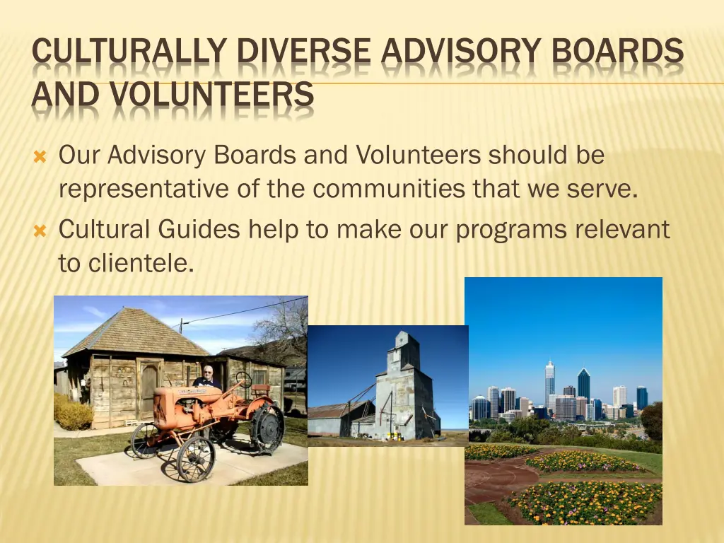 culturally diverse advisory boards and volunteers 6