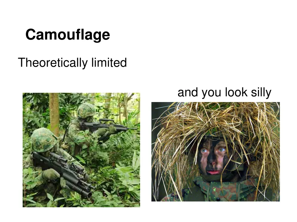 camouflage