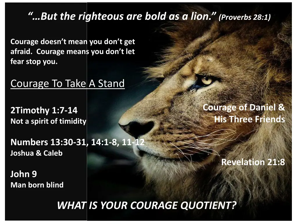 but the righteous are bold as a lion proverbs 28 1