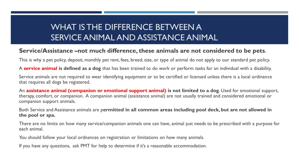 what is the difference between a service animal