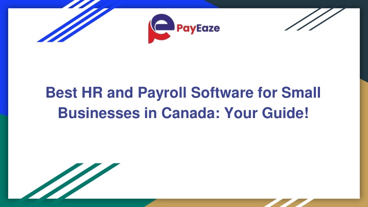 best hr and payroll software for small businesses