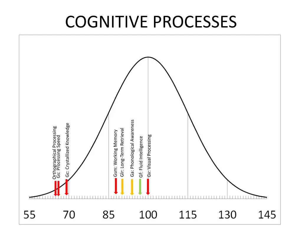 cognitive processes