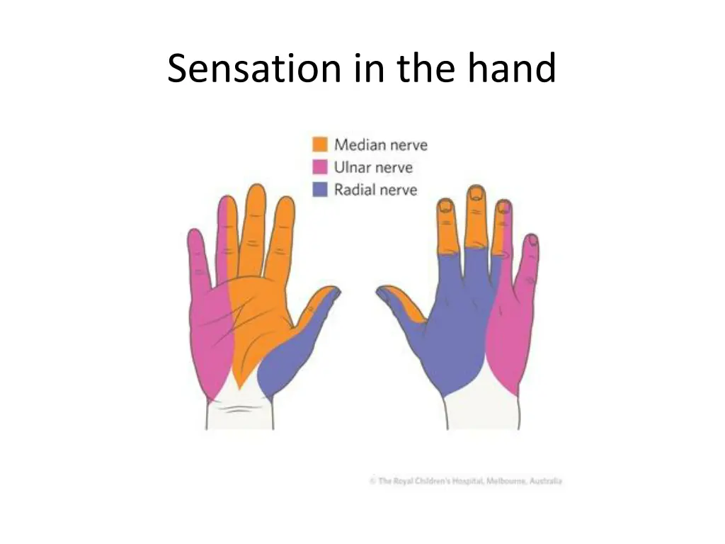 sensation in the hand