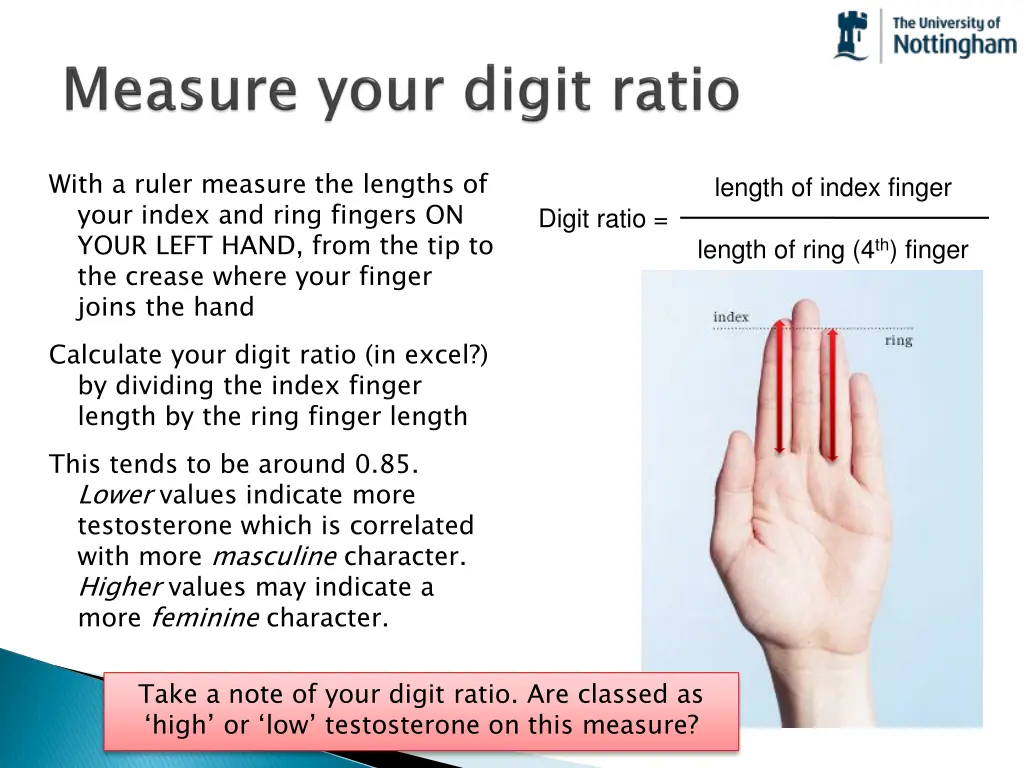 with a ruler measure the lengths of your index