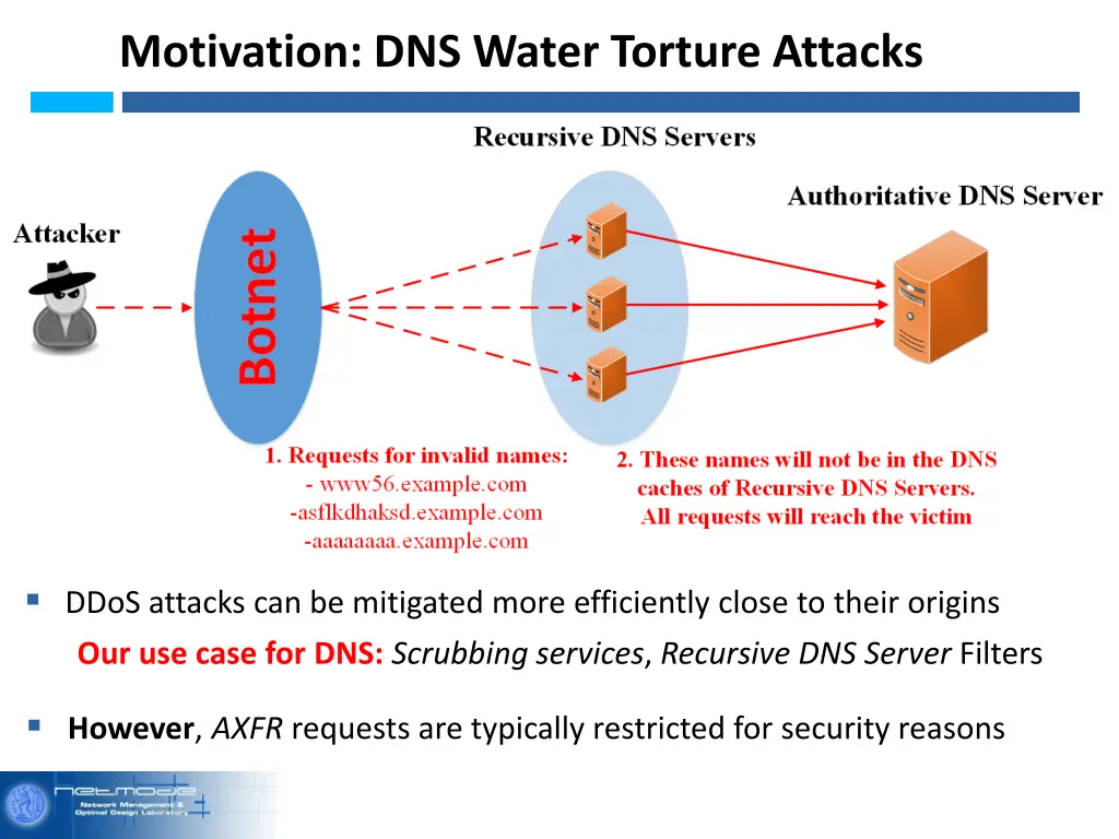 motivation dns water torture attacks